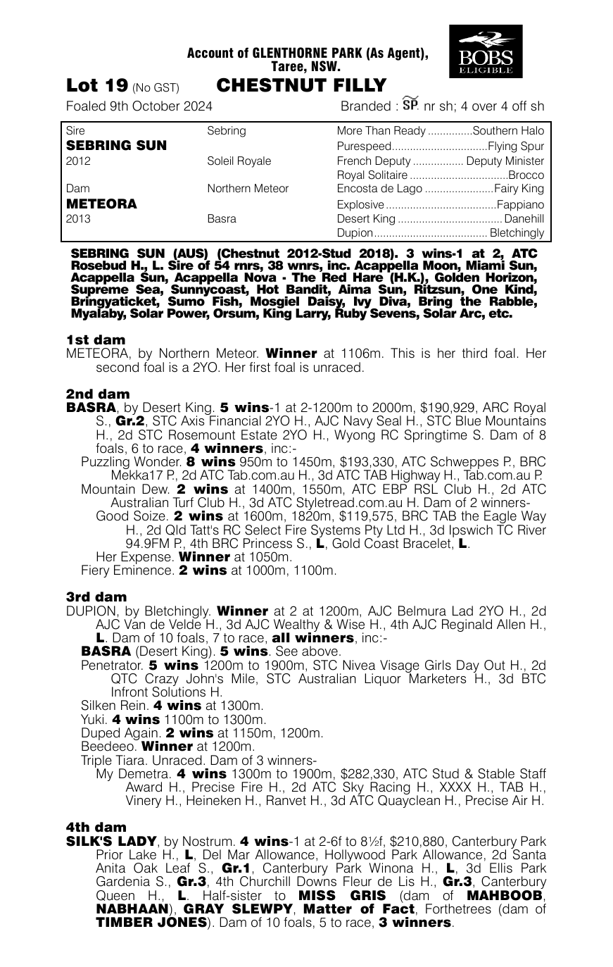 Pedigree - Lot 19
