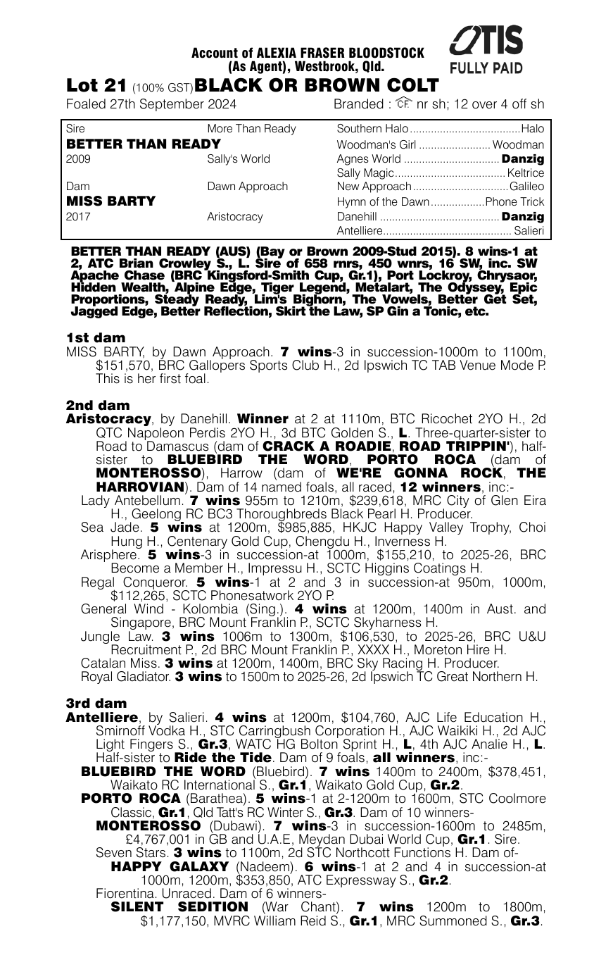 Pedigree - Lot 21