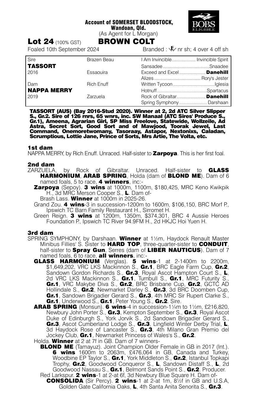 Pedigree - Lot 24