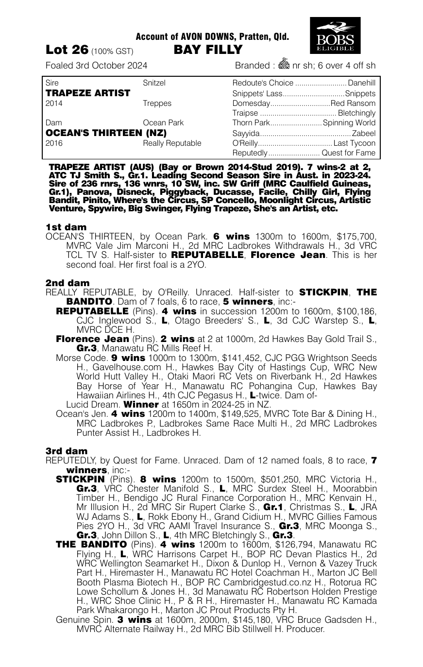 Pedigree - Lot 26
