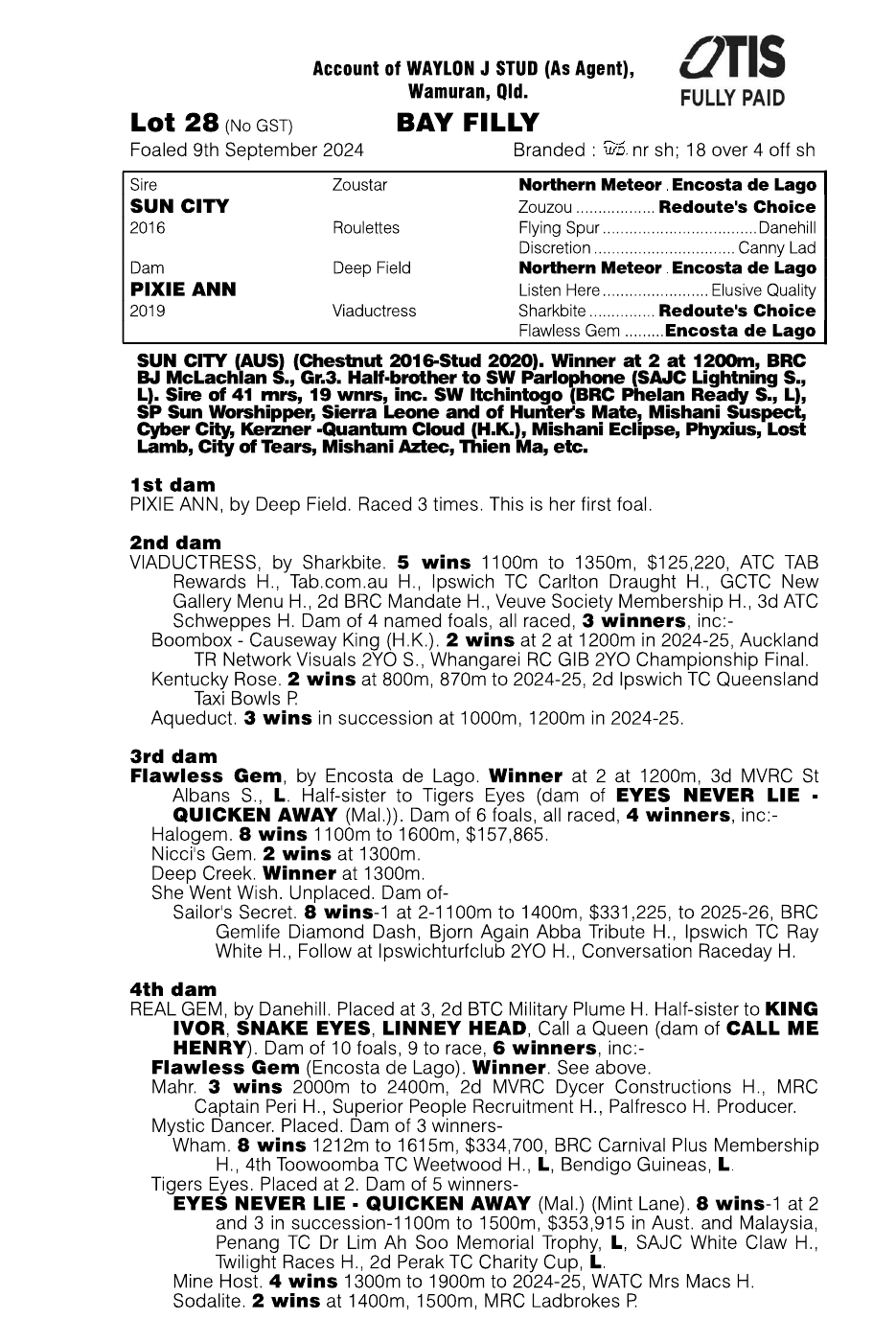 Pedigree - Lot 28