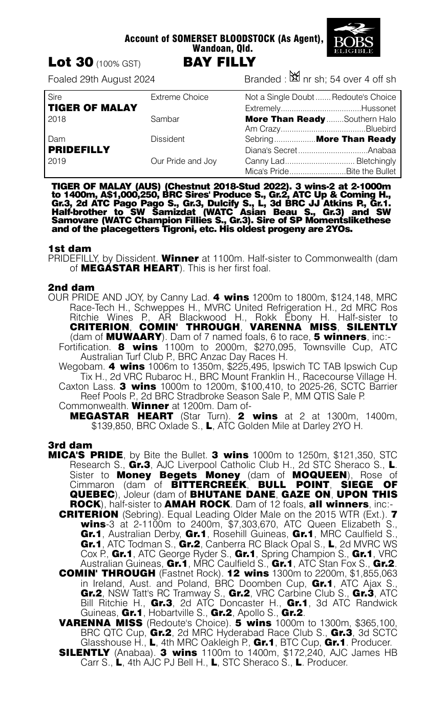 Pedigree - Lot 30