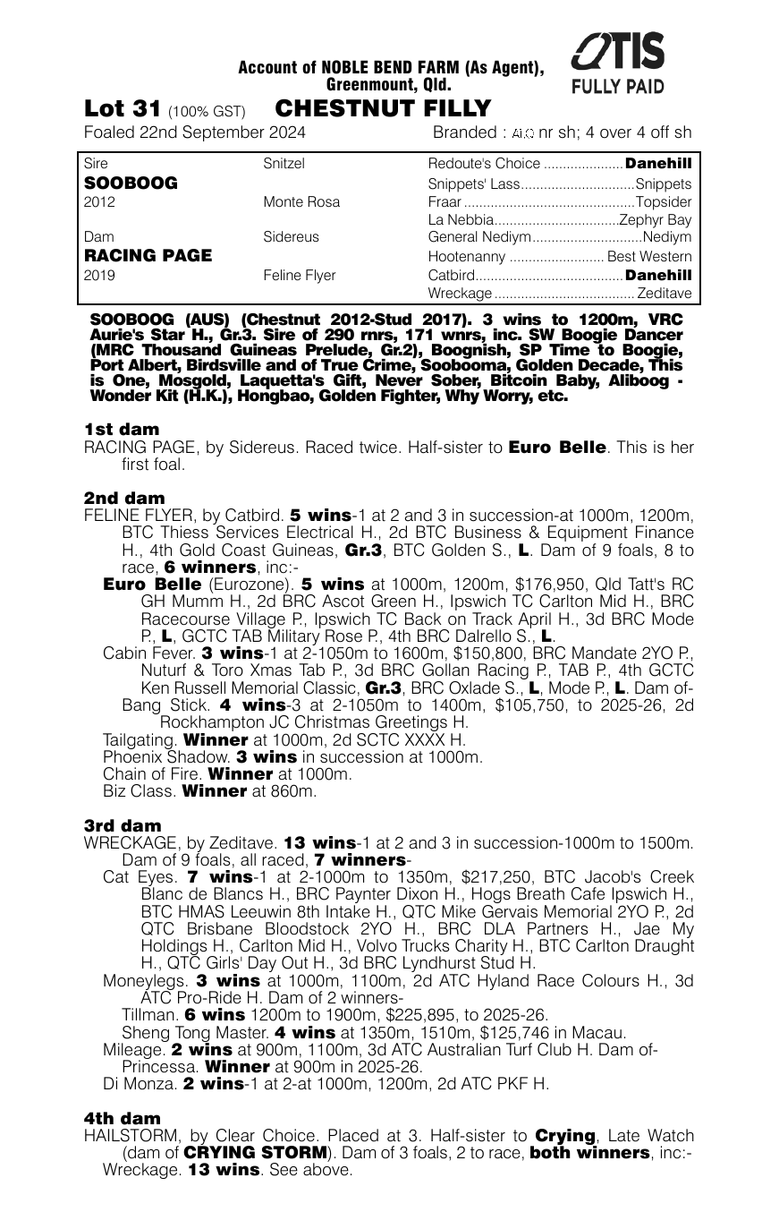 Pedigree - Lot 31