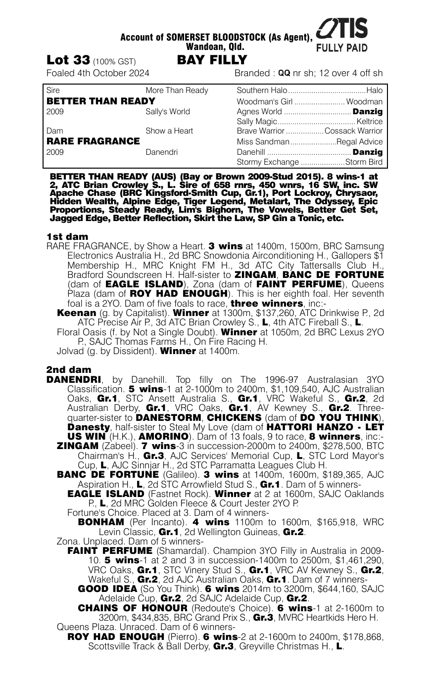 Pedigree - Lot 33