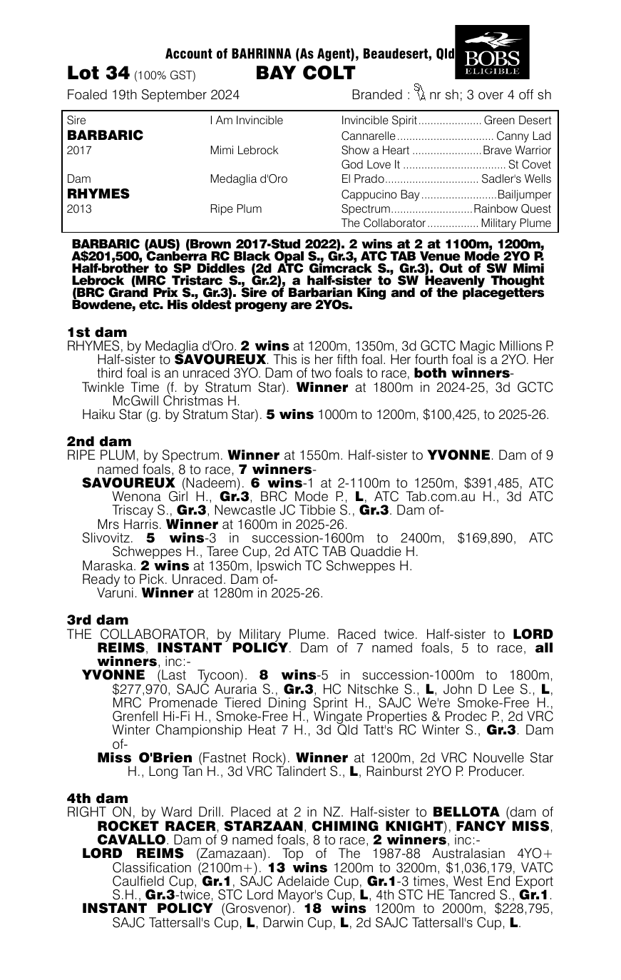 Pedigree - Lot 34