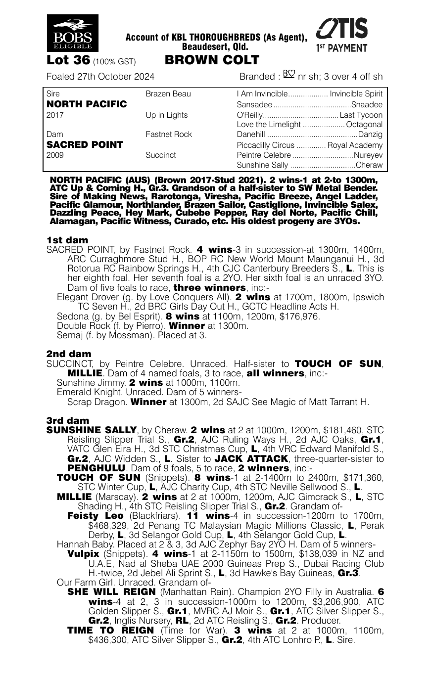 Pedigree - Lot 36