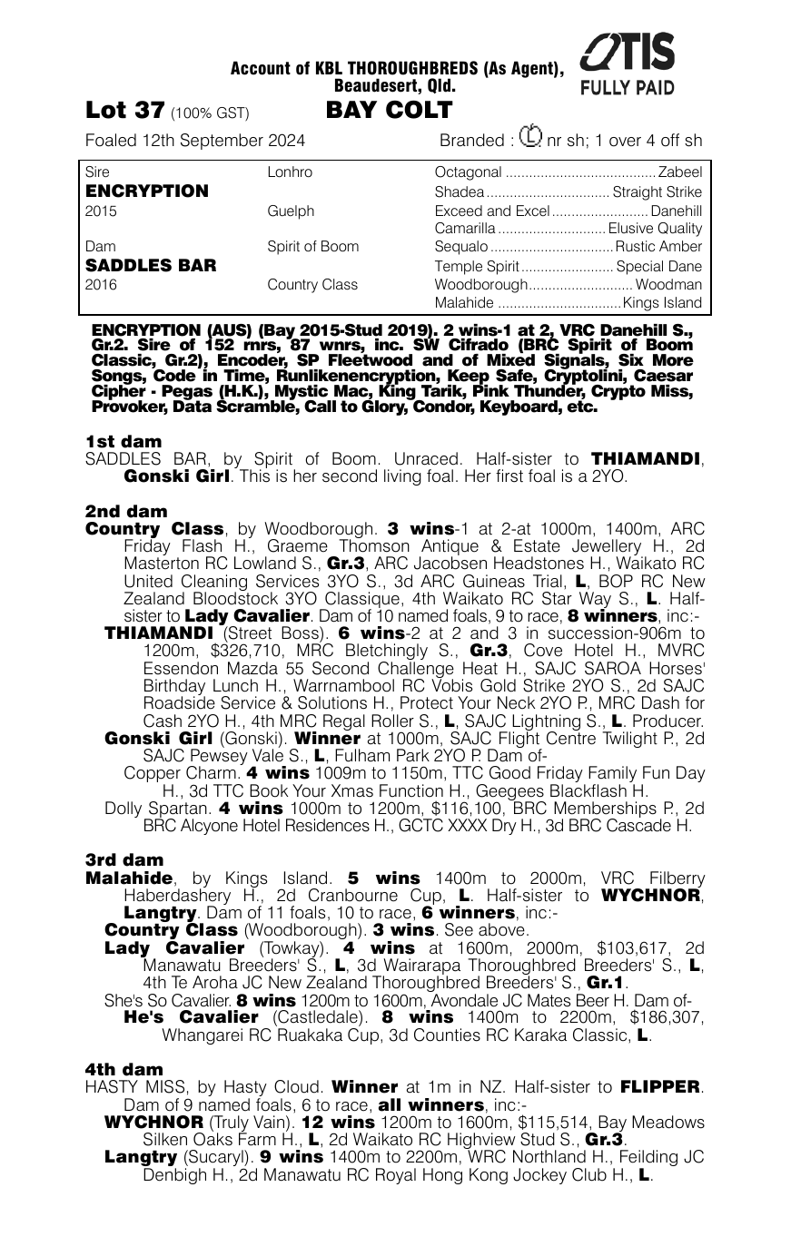 Pedigree - Lot 37