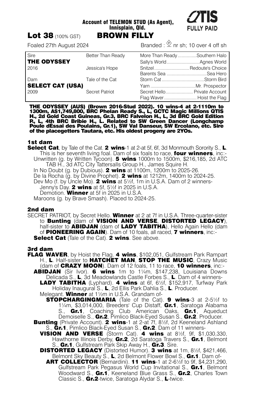 Pedigree - Lot 38
