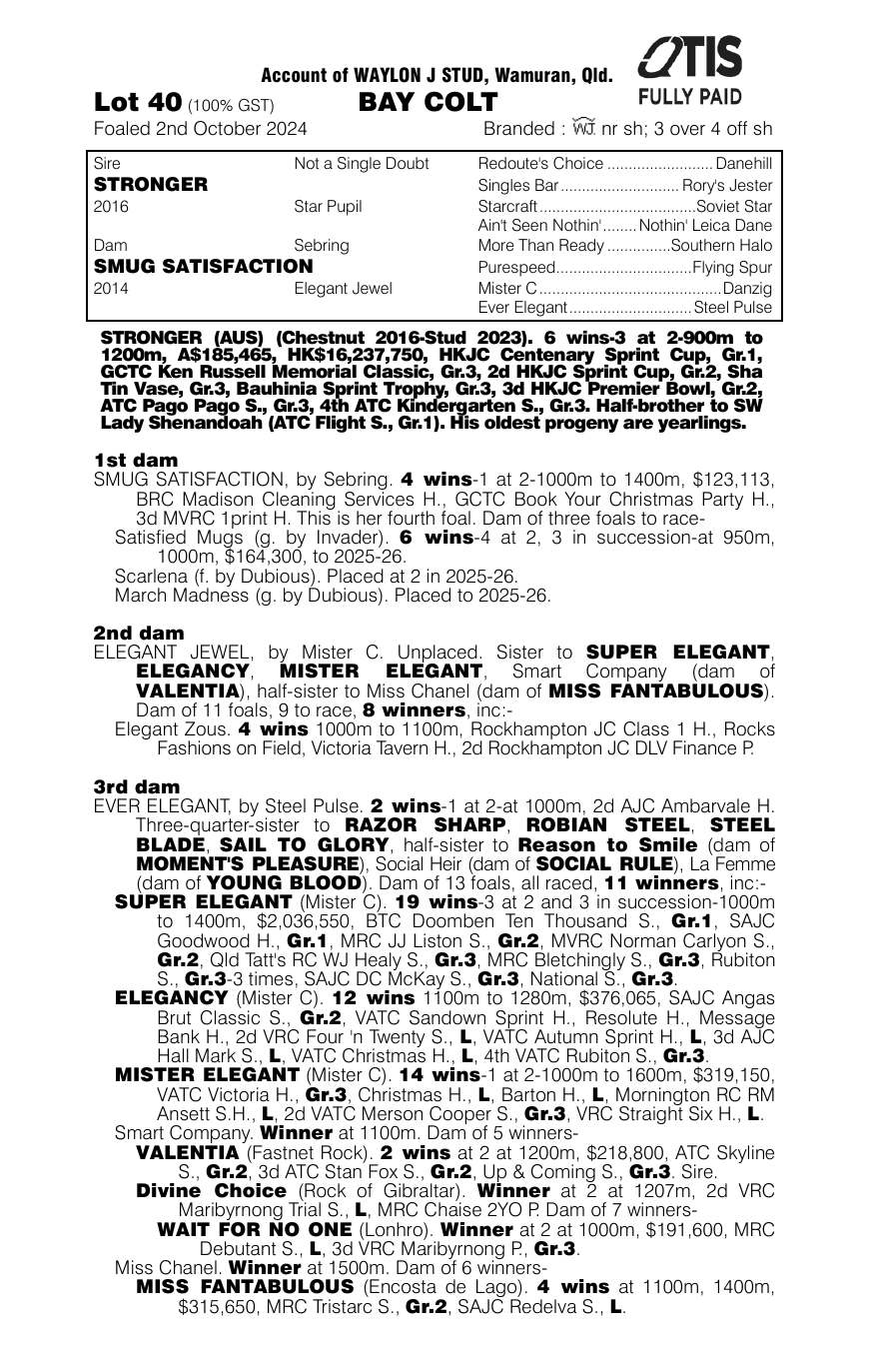 Pedigree - Lot 40