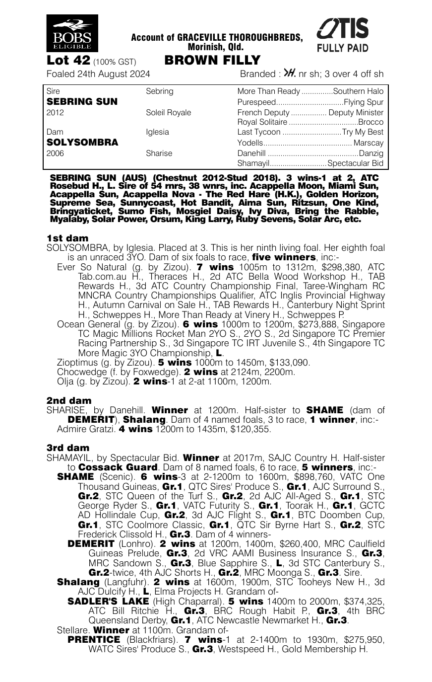 Pedigree - Lot 42