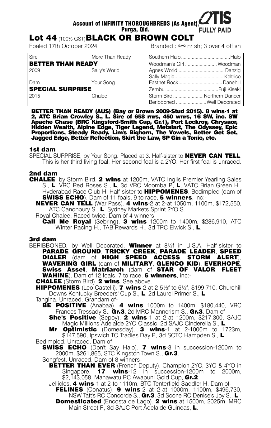 Pedigree - Lot 44