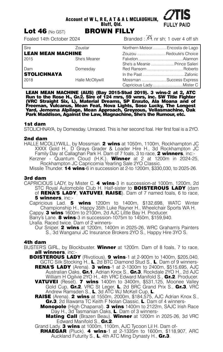 Pedigree - Lot 46