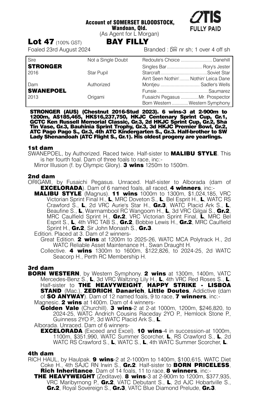 Pedigree - Lot 47