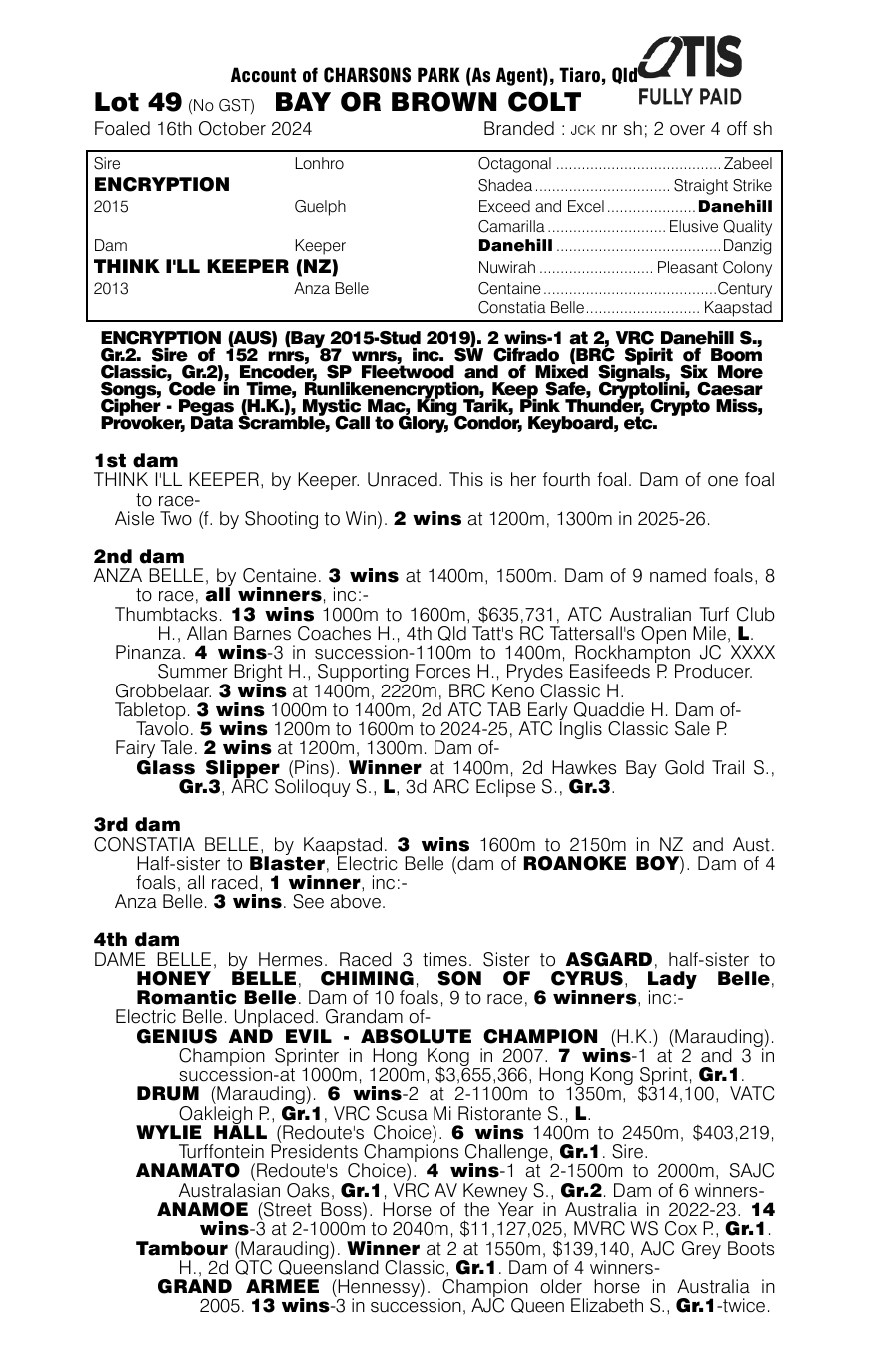 Pedigree - Lot 49