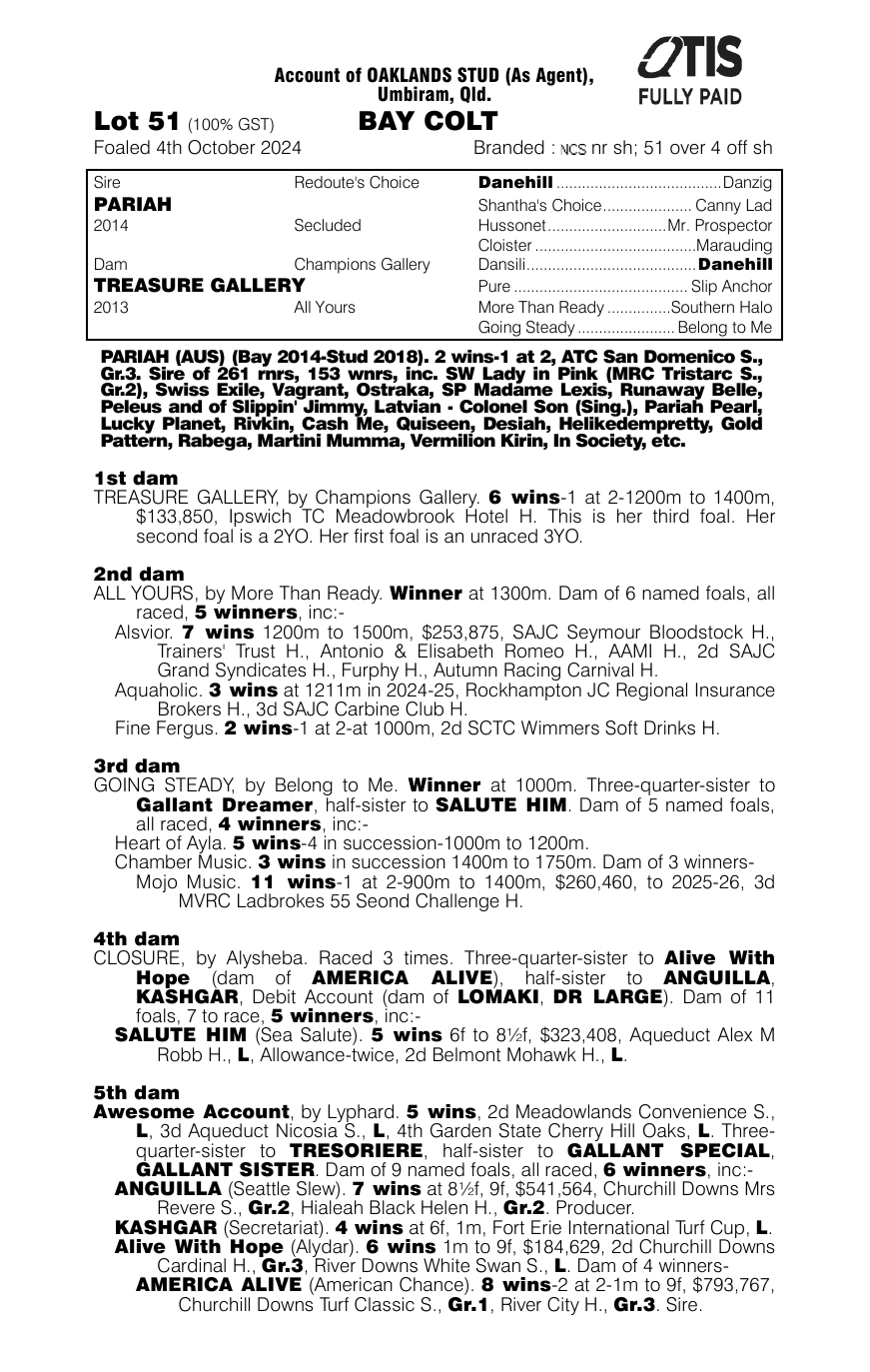Pedigree - Lot 51