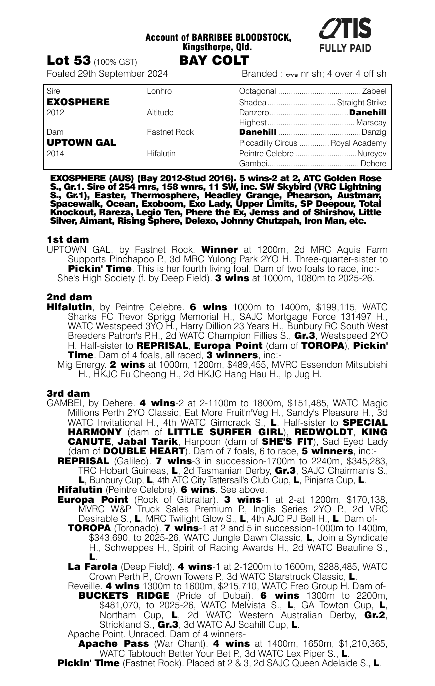Pedigree - Lot 53