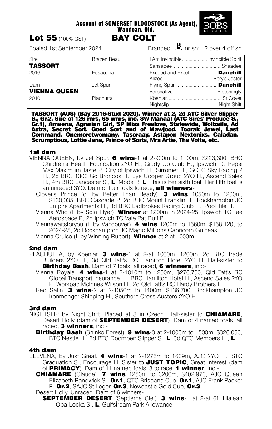 Pedigree - Lot 55