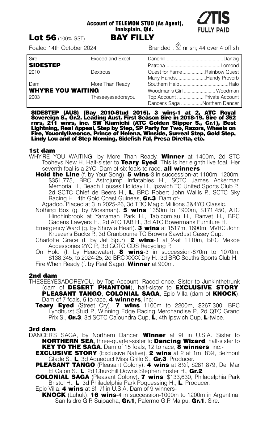 Pedigree - Lot 56