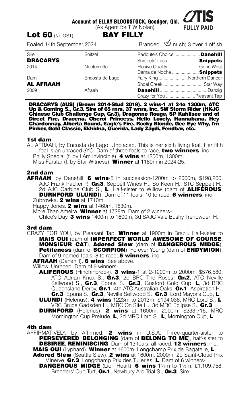 Pedigree - Lot 60