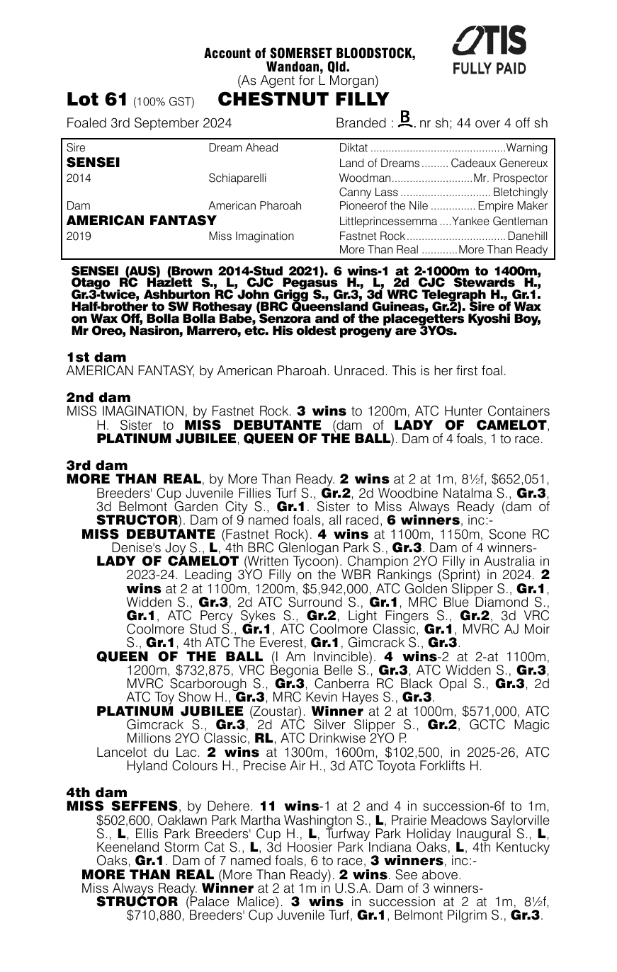 Pedigree - Lot 61