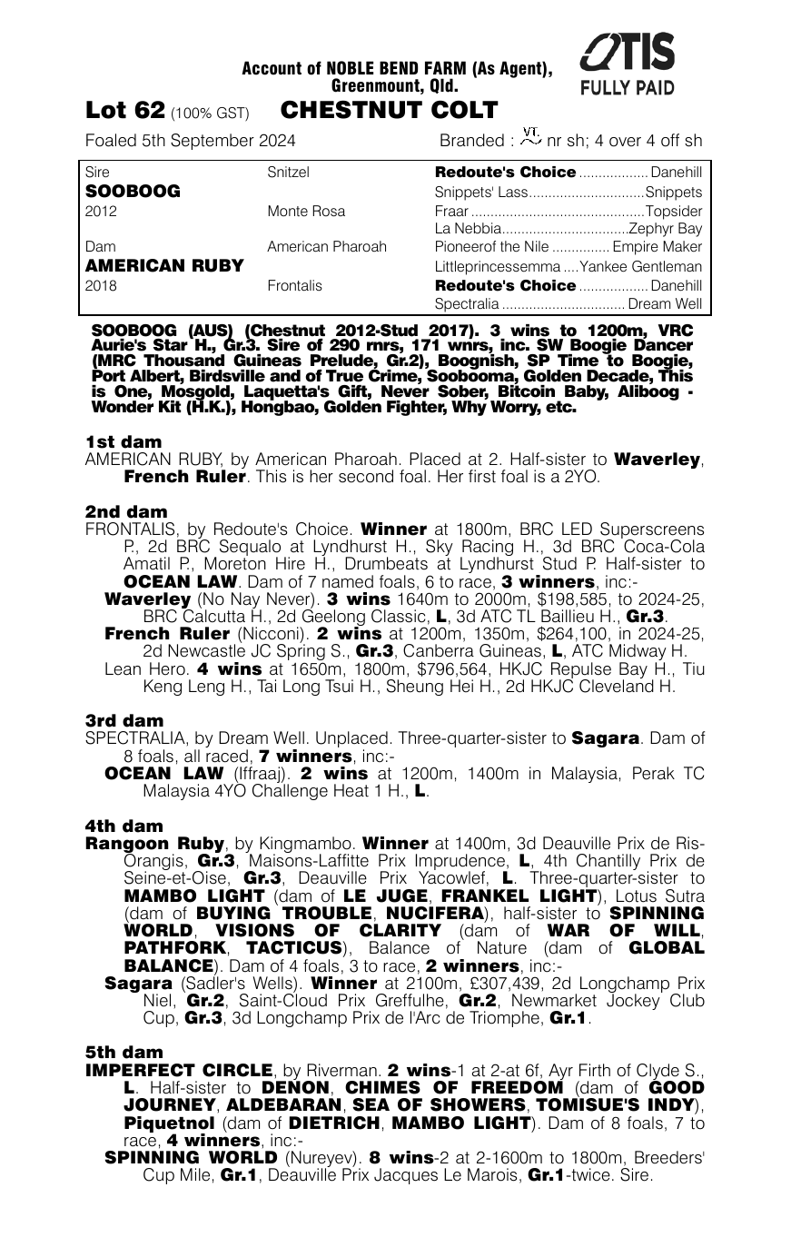 Pedigree - Lot 62