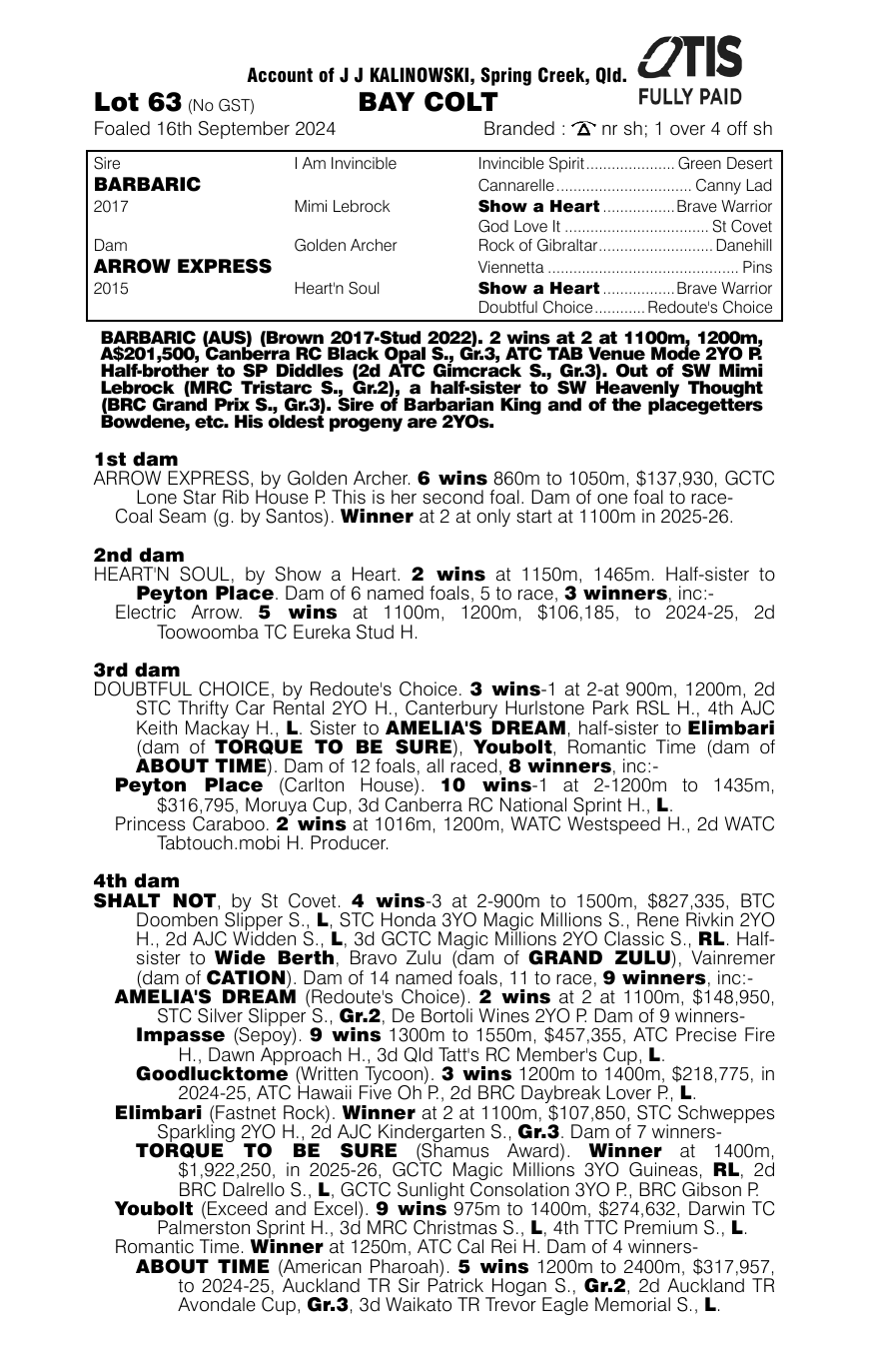 Pedigree - Lot 63