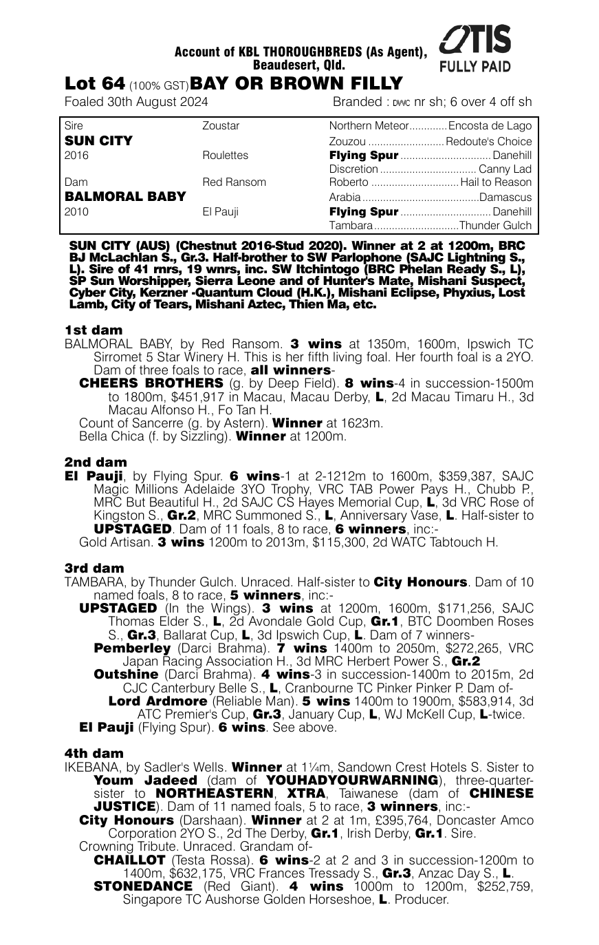 Pedigree - Lot 64