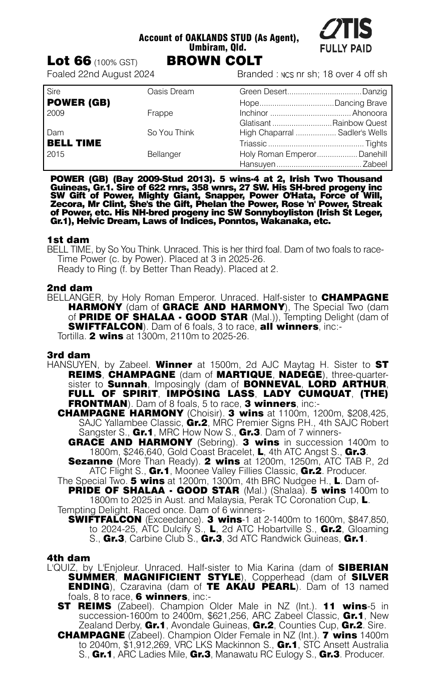 Pedigree - Lot 66