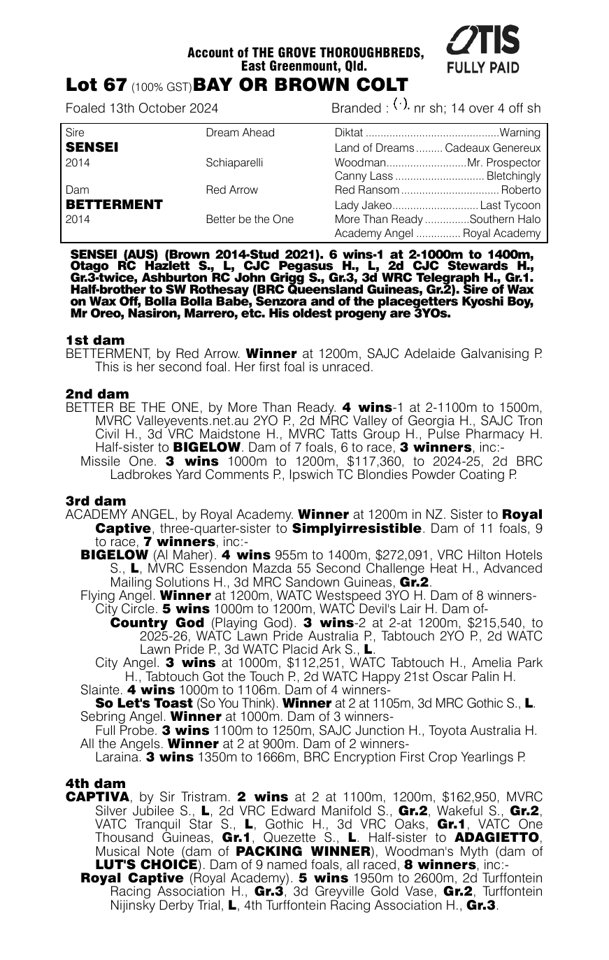 Pedigree - Lot 67