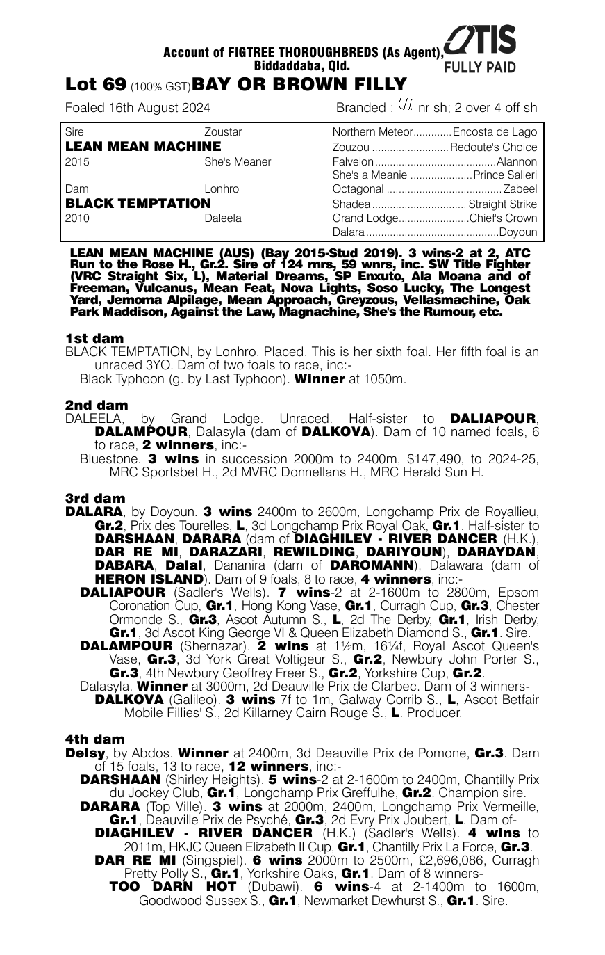 Pedigree - Lot 69