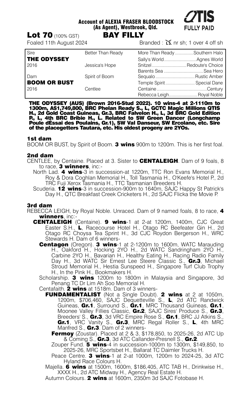 Pedigree - Lot 70