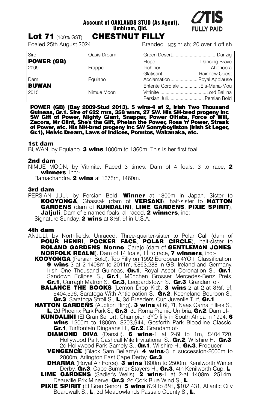 Pedigree - Lot 71