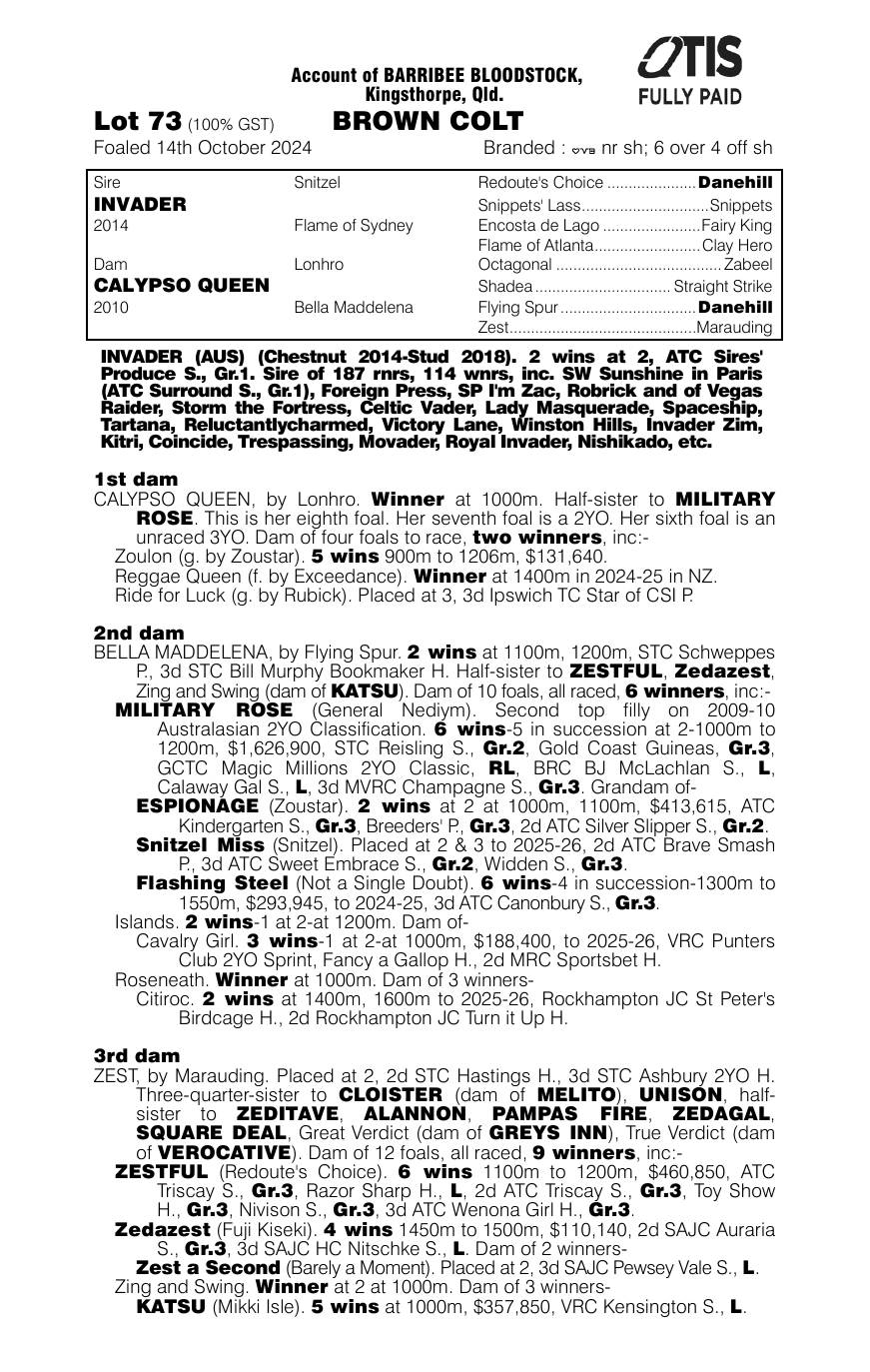 Pedigree - Lot 73