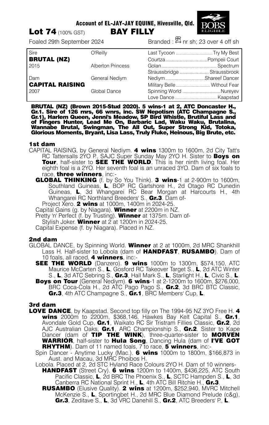 Pedigree - Lot 74