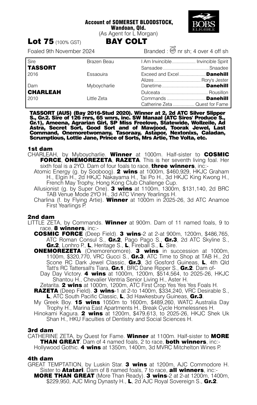 Pedigree - Lot 75