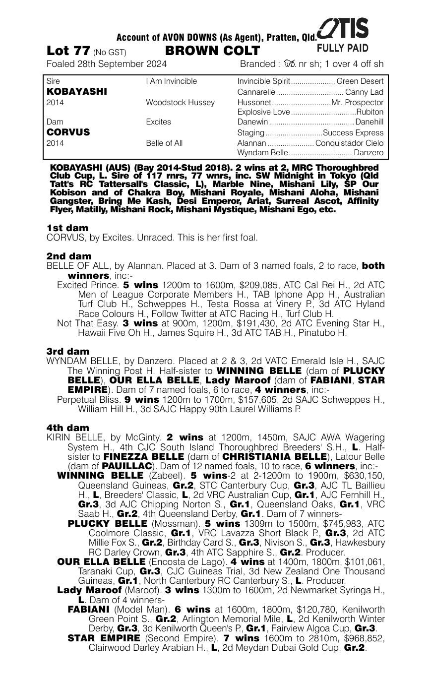 Pedigree - Lot 77