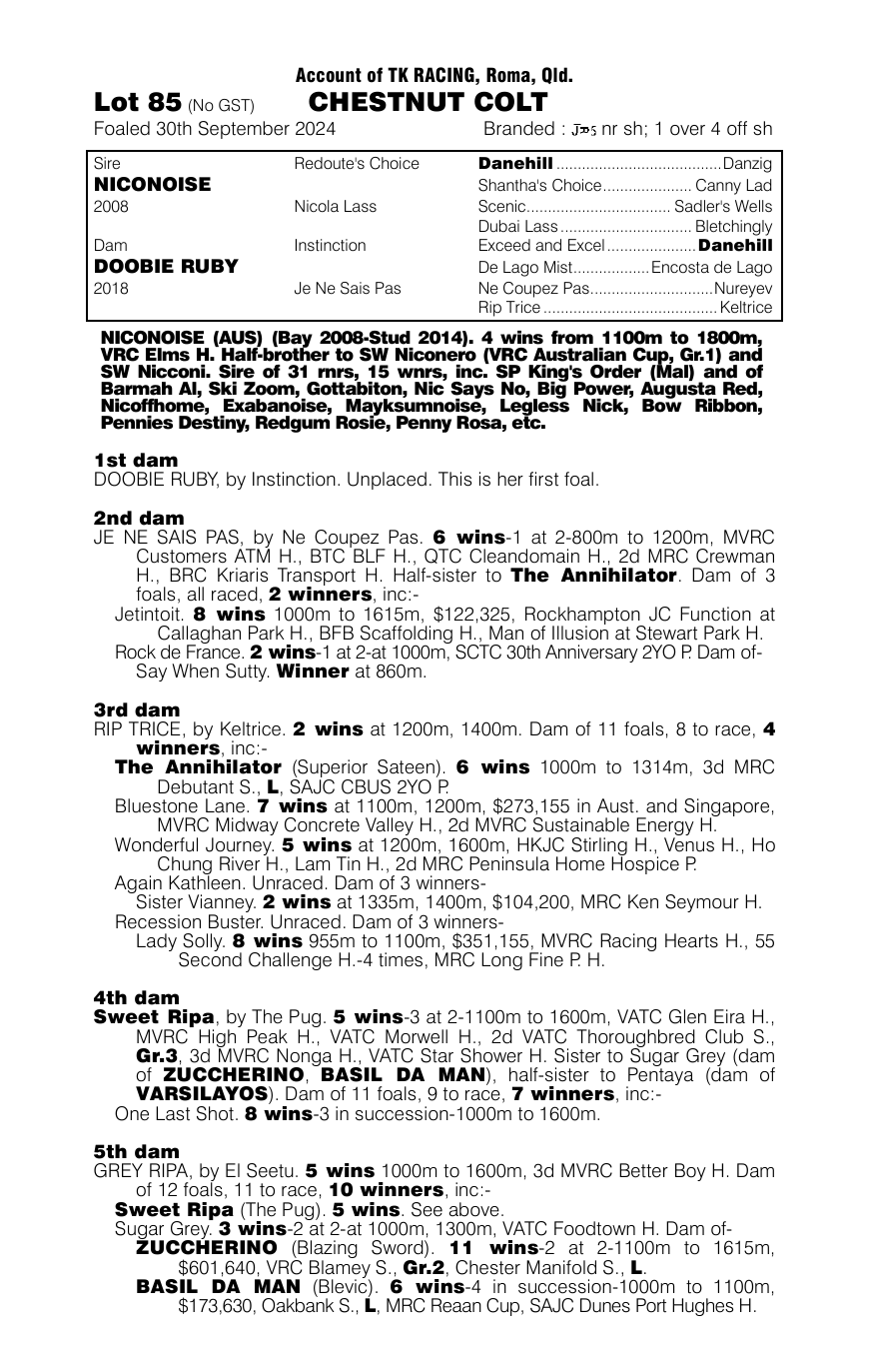 Pedigree - Lot 85