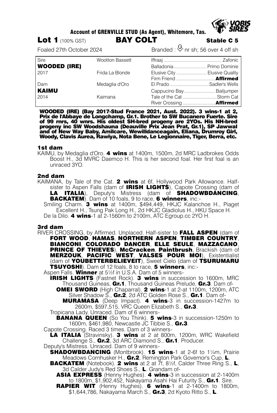 Pedigree - Lot 1