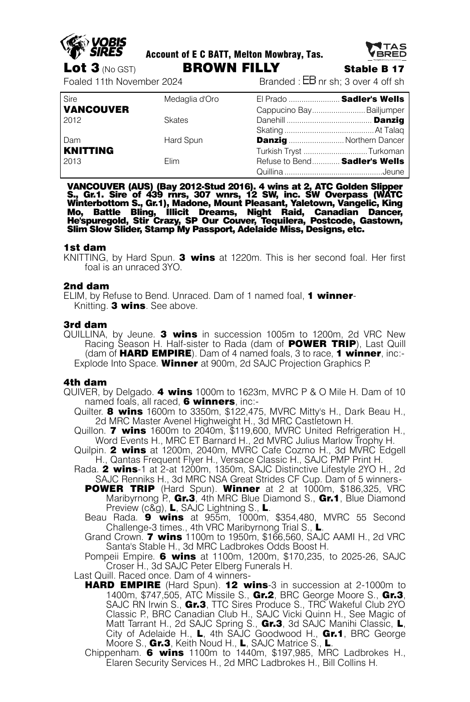 Pedigree - Lot 3