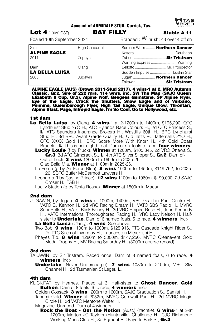 Pedigree - Lot 4