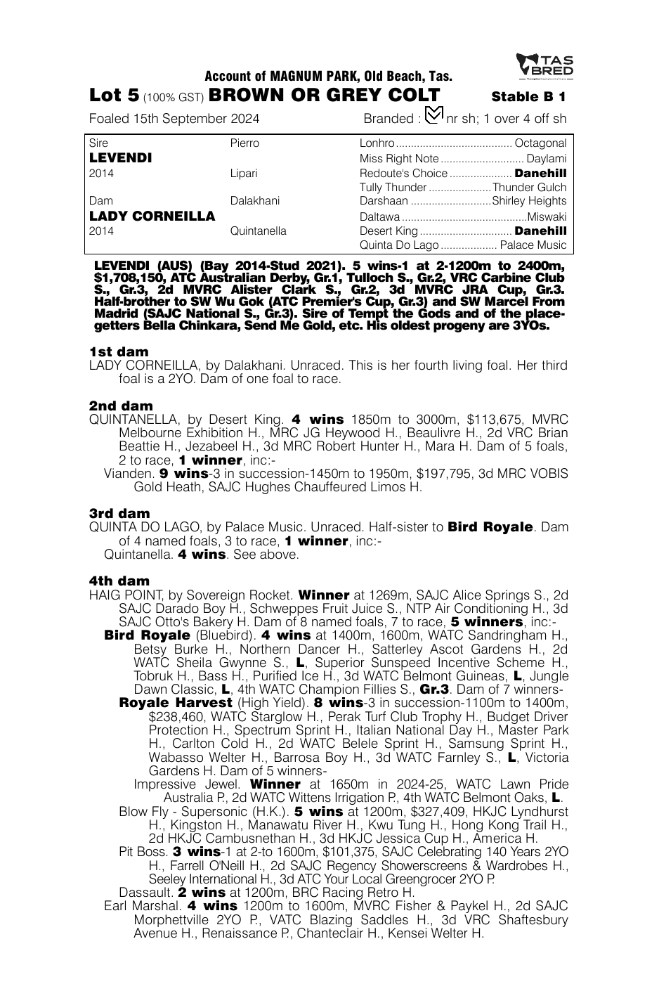 Pedigree - Lot 5