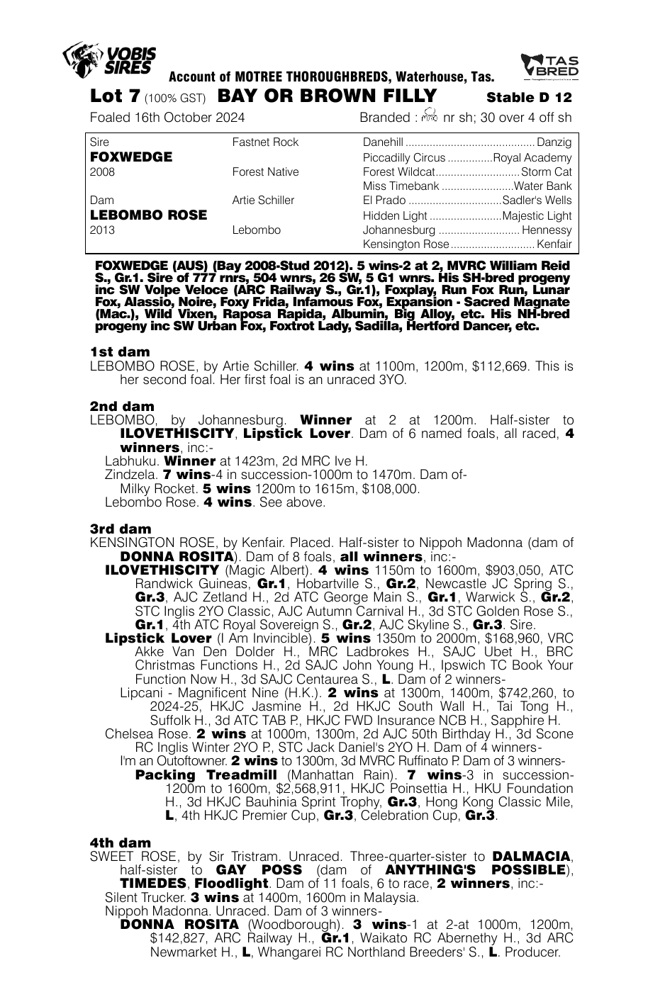 Pedigree - Lot 7