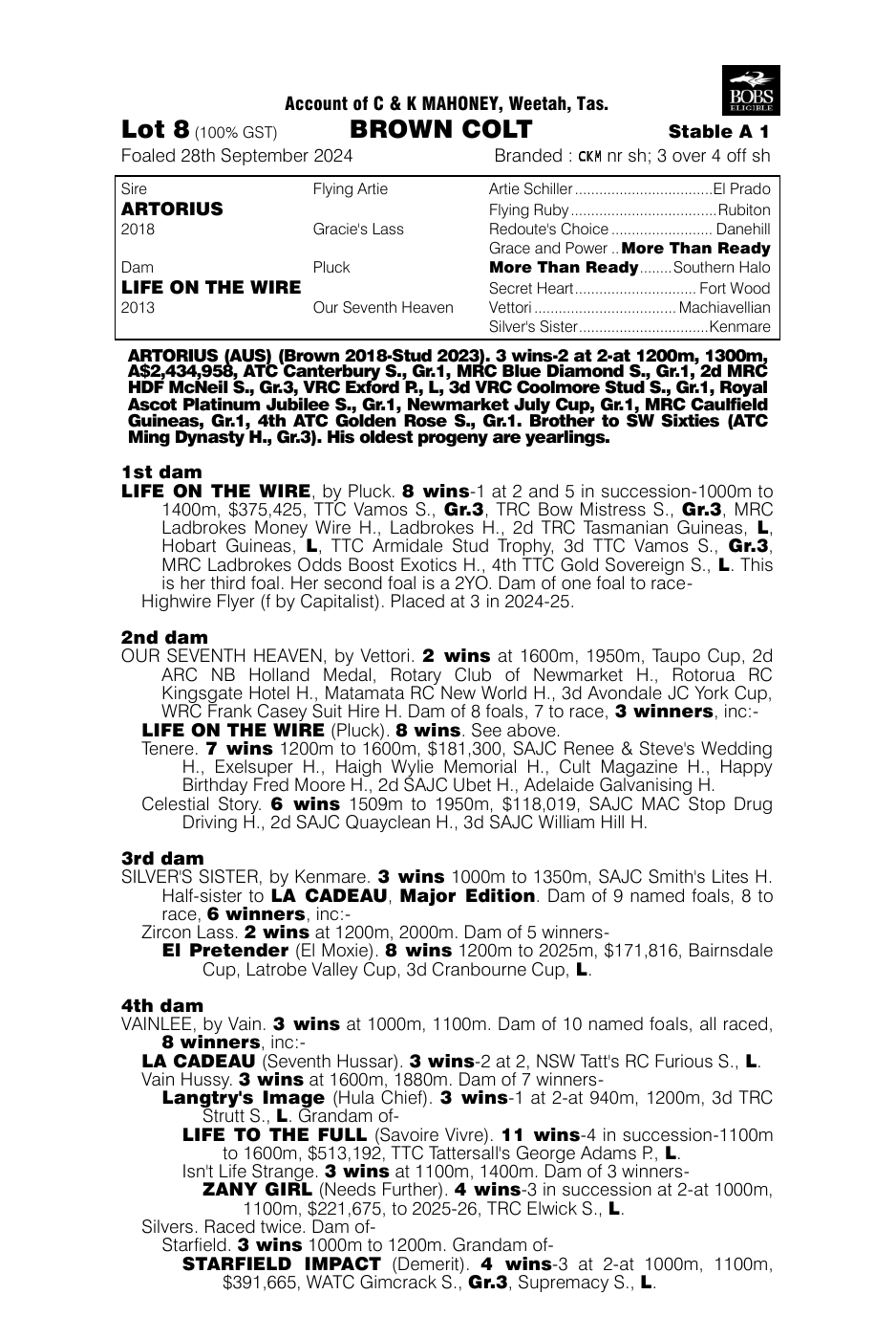 Pedigree - Lot 8