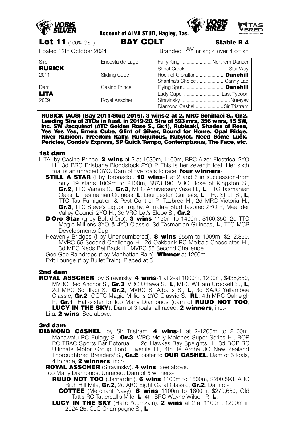 Pedigree - Lot 11