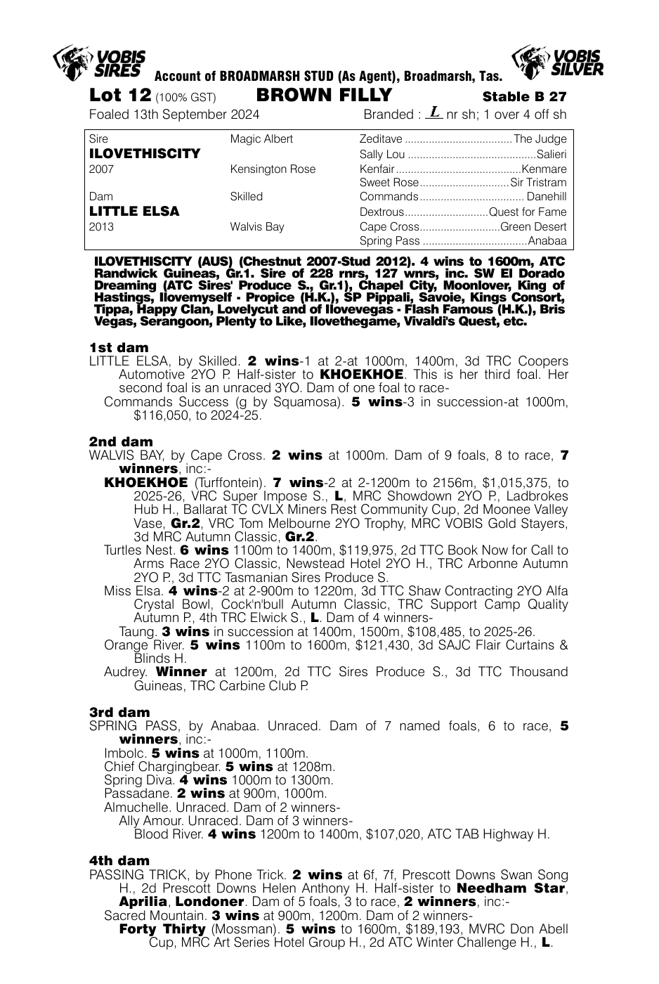 Pedigree - Lot 12