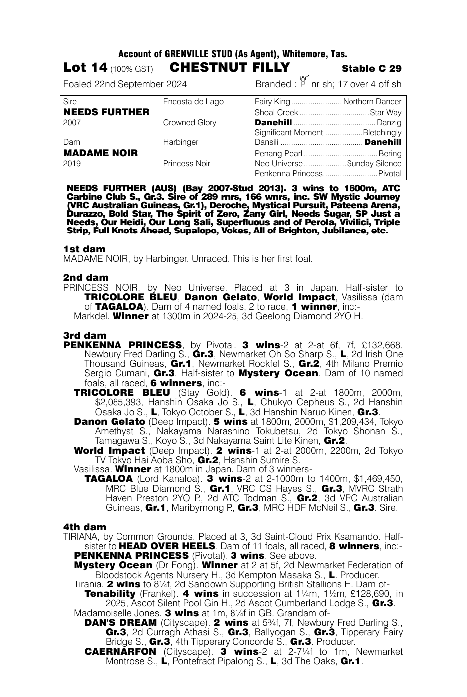 Pedigree - Lot 14