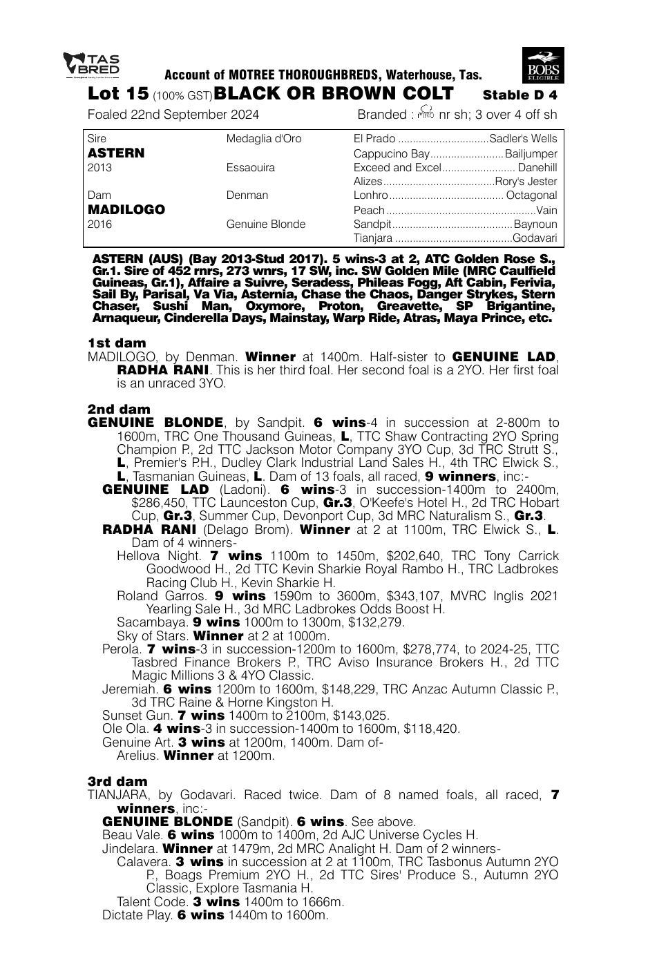 Pedigree - Lot 15