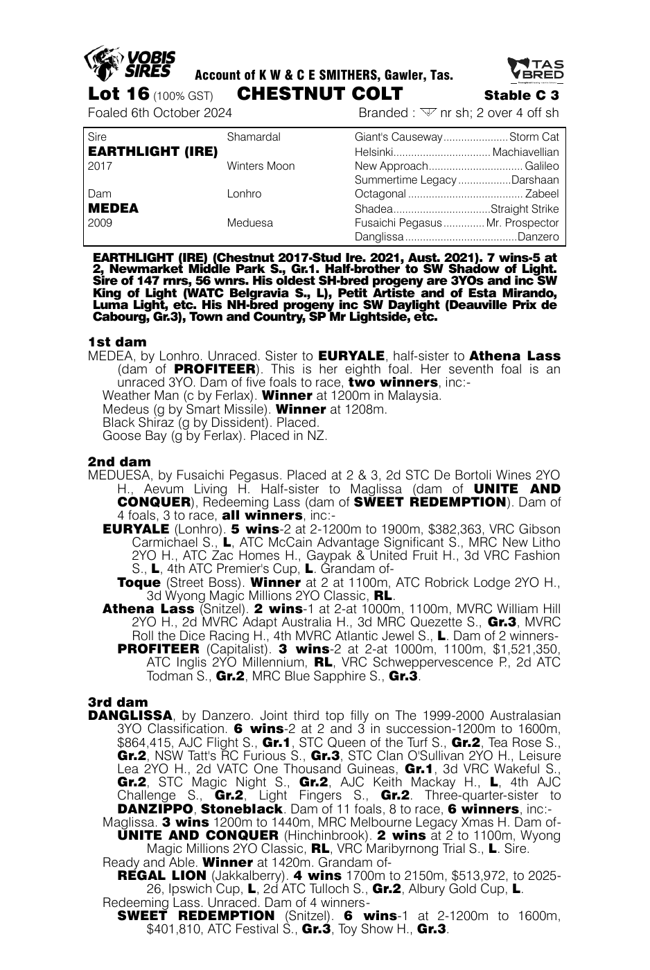 Pedigree - Lot 16