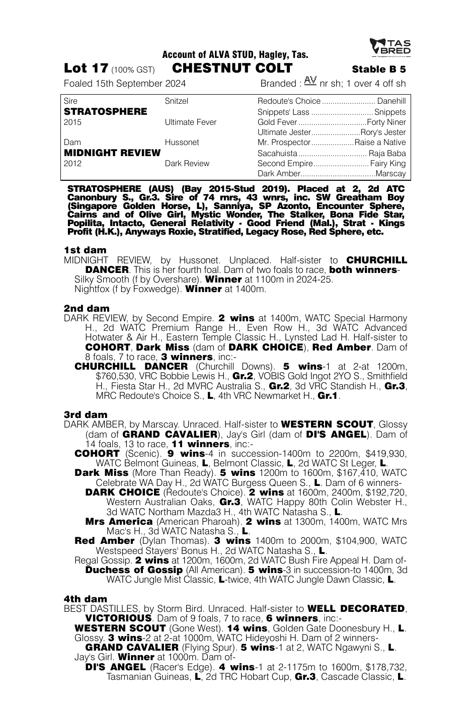 Pedigree - Lot 17