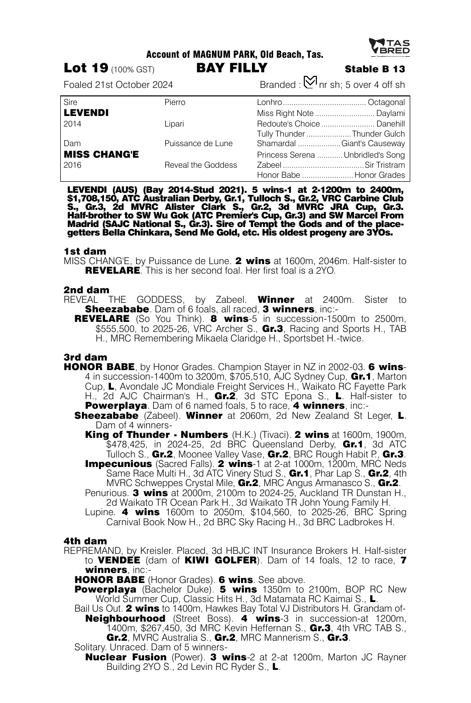 Pedigree - Lot 19